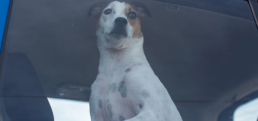 Car Lockout Solutions in Carson, California