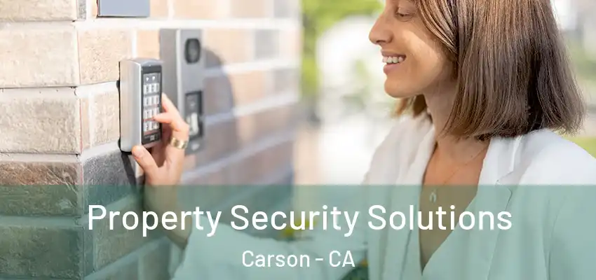  Property Security Solutions Carson - CA